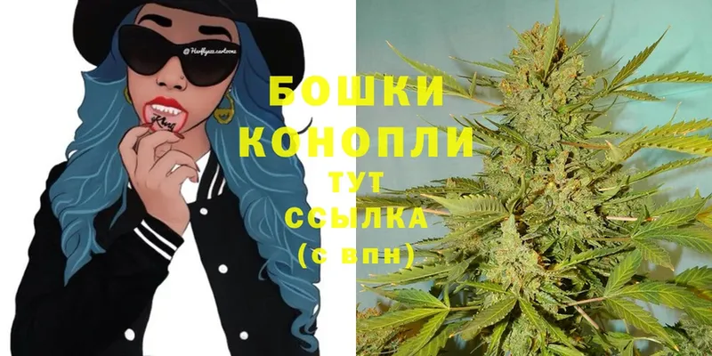 как найти   Добрянка  Бошки марихуана THC 21% 